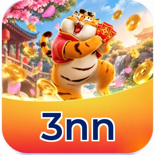 3nn Installation Guide